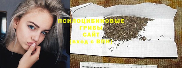 твердый Арсеньев