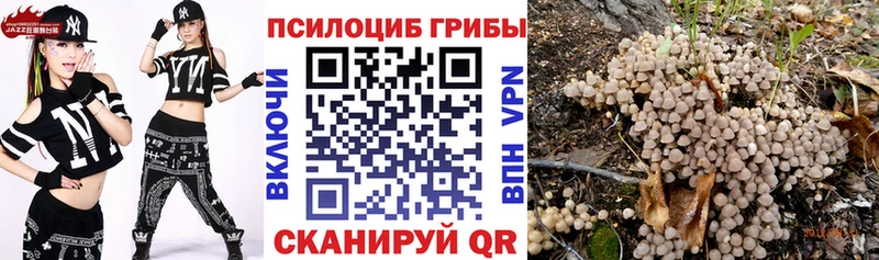 Галлюциногенные грибы GOLDEN TEACHER сколько стоит Бодайбо